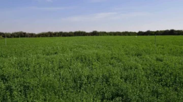 توقعات الطقس استقرار نسبي مع امتداد المرتفع الأزوري نحو المغرب